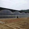 江苏温室大棚造价-山东有品质的温室大棚生产基地