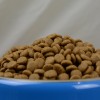 北京猫粮-品质好的猫粮上哪买