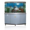 传授生态鱼缸制作技术-潍坊哪里有声誉好的生态鱼缸加工