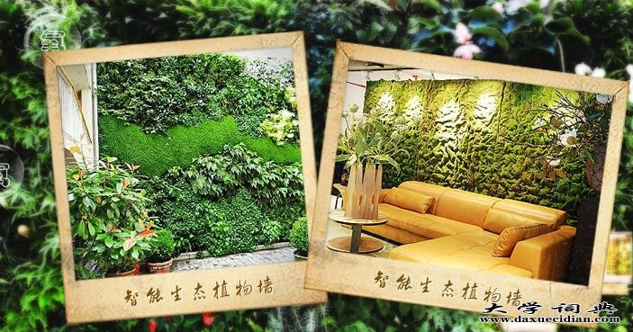哈尔滨绿植花卉租赁