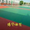 广州博华体育划算的全塑型塑胶跑道批发 塑胶跑道价格