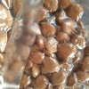 杏米报价-采购高品质杏米就找山地农产品