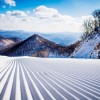 单板滑雪价格-单板滑雪-选丹东雪培文化传播靠谱