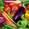 甘肃专业蔬菜配送-甘肃靠谱的蔬菜配送服务推荐