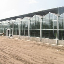烟台玻璃板温室建造-可信赖的玻璃板温室建造上哪找