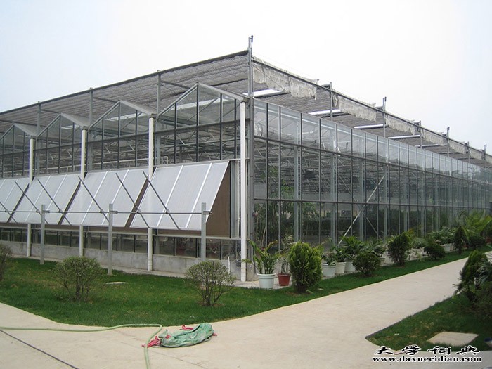 生态园艺温室大棚