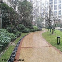 上海上海阳光绿化工程价格泽珐供