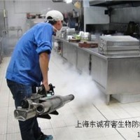 提供上海上海灭蚊蝇公司哪家好服务东诚虫控供