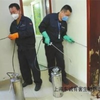提供上海灭蚂蚁公司服务东诚虫控供