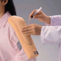 电子上臂肌肉注射训练模型 电子肌肉注射护理模型生产 康津供