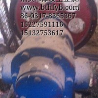 CB齿轮油泵