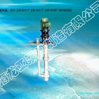 供应FY65-16谷氨酸立式液下泵