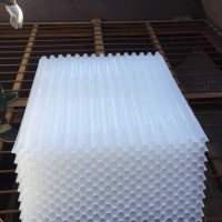 山东朱氏药业集团塑料蜂窝斜管填料  斜板占地面积小处理效率高