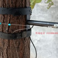 树木生长变化传感器网址导航秆变化测量仪树木周长变化测量仪