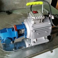 WCB手提泵-质量保证-优惠供应