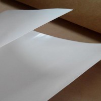 厂家供应 PE淋膜纸 单双面 食品级包装纸 可印刷 楷诚纸业