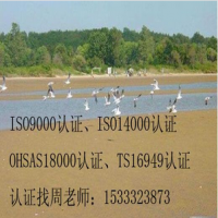 沧州申请ISO9000认证，沧州ISO9001质量认证