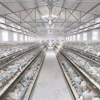 智能蓄禽养殖管理系统（肉鸡）