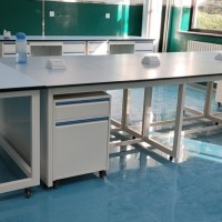 北京酸碱实验台 PP实验桌 通风柜 中央实验台 工作台