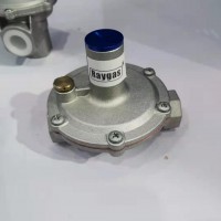 法国瑞盖斯品牌R738调压器调压阀可定制