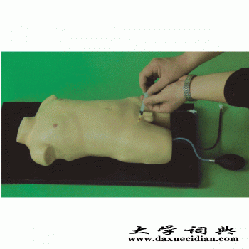 康谊牌KAY-H3218儿童股静脉与股动脉穿刺训练模型图1