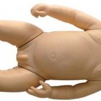 KAY-FT330高智能婴儿模拟人智能婴儿模型-康谊医学厂家