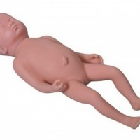 康谊牌KAY-T4高级足月胎儿模型儿科临床教学训练模型
