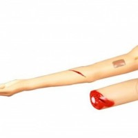 KAY-G105-2控制出血手臂模型上肢外伤止血训练模型