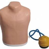 康谊KAY-66高级气胸处理模型临床专科技能训练模型