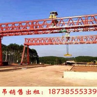 广东湛江门式起重机厂家50+50t龙门吊安装施工