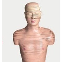 KL1308人体头颈部横断断层解剖模型-上海康谊医学模型