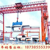 广东河源门式起重机厂家发货云南ME80+80龙门吊