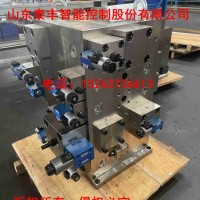 山东泰丰智能厂家设计生产液压机二通插装阀