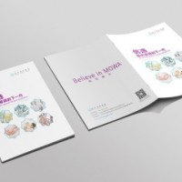 武汉企业宣传画册画册设计印刷,泽雅美印